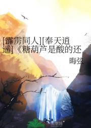 [霹雳同人][奉天逍遥]糖葫芦是酸的还是