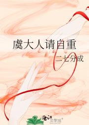 偷情？本官可以学