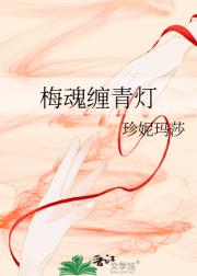 梅魂缠青灯