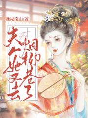 夫人她又去烟柳巷了