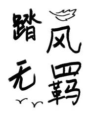 踏风无羁