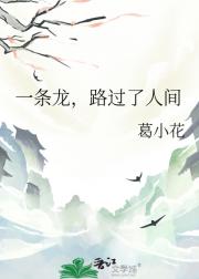 一条龙，路过了人间