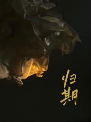 漫长的归期