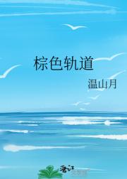 棕色轨道