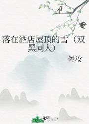 落在酒店屋顶的雪（双黑同人）