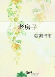 老房子