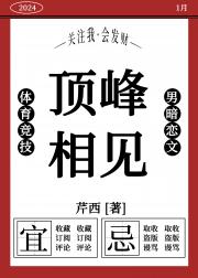 顶峰相见