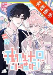 不是社畜，是猫猫！