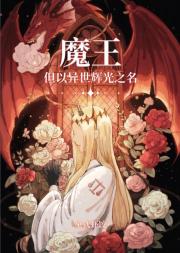 魔王，但以异世界圣光之名