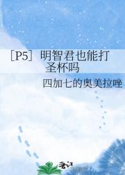 ［P5］明智君也能打圣杯吗