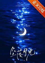 港岛的夜