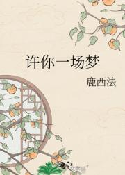 许你一场梦