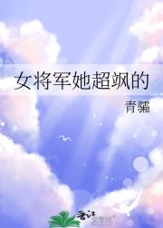 女将军她超飒的
