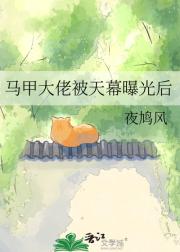 马甲大佬被天幕曝光后