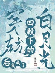 穿越后我成了四殿下的白月光