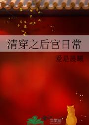 综清穿之后宫日常