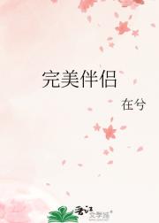 完美伴侣