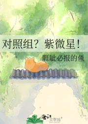 对照组？紫微星！