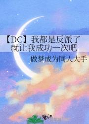 【DC】我都是反派了就让我成功一次吧