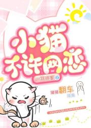 小猫不许网恋