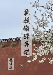 花妖在人间只想躺平