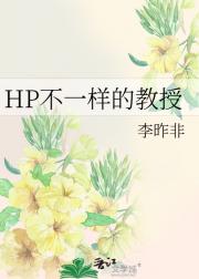 HP不一样的教授