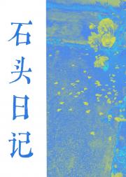 石头日记