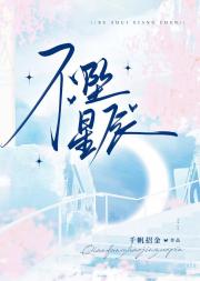 不坠星辰