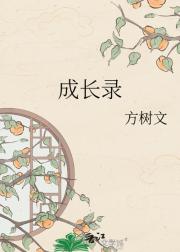 成长录