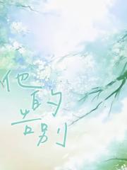 他的告别