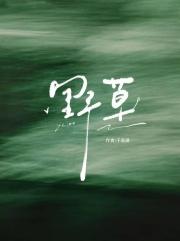 [樊振东]野草
