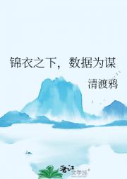 锦衣之下，数据为谋