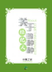 关于经纪人的种种