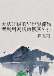 无法升级的异世界滞留者开网店赚钱买外挂
