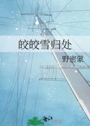 皎皎雪归处