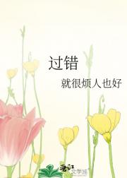 过错