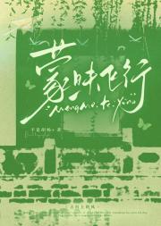 蒙昧飞行