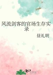 风流剑客的官场生存实录