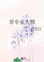 非专业大师