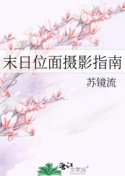 末日位面摄影指南