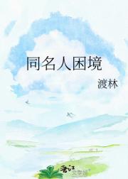 同名人困境