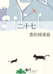 二十七