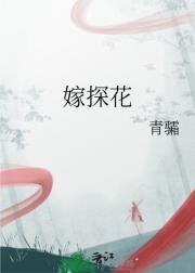 嫁探花