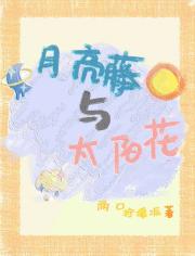 HP月亮藤与太阳花