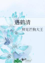 遇鹤清