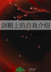 剑鞘上的自我介绍