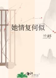 她情复何似