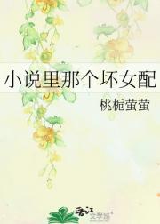 小说里那个坏女配
