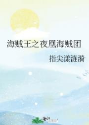 海贼王之夜凰海贼团