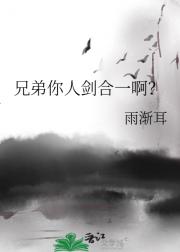 兄弟你人剑合一啊？